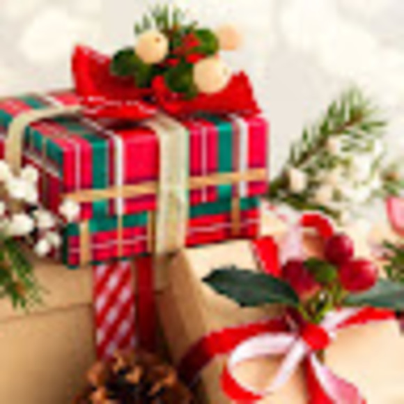 Meet your Posher, Zoey - Picture 1 of 1